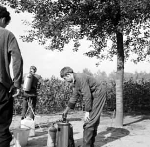 Arbeiders, sproeiinstallaties, struiken, jerrycans, Bestanddeelnr 253-6322
