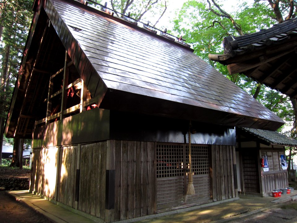 Arai-jinja (Nantan) honden