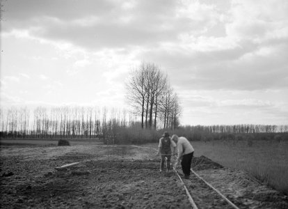 Arbeiders, werkzaamheden, rails, bomen, Bestanddeelnr 253-6629