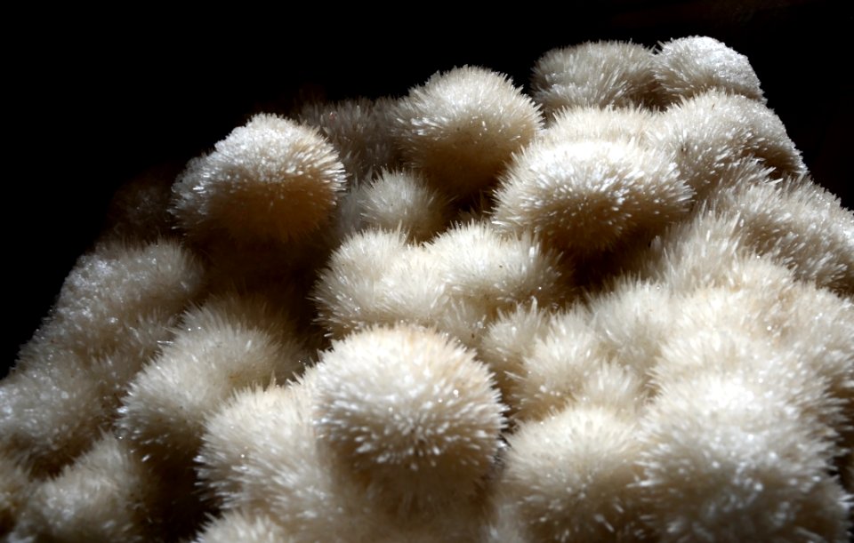 Aragonite Teylers Museum 7112012
