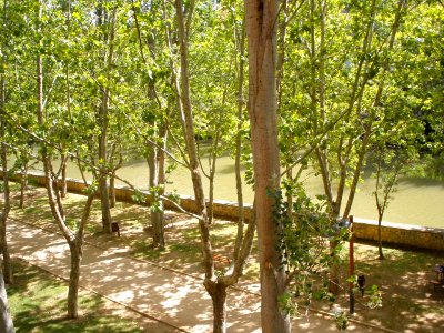 Aranda de Duero 29
