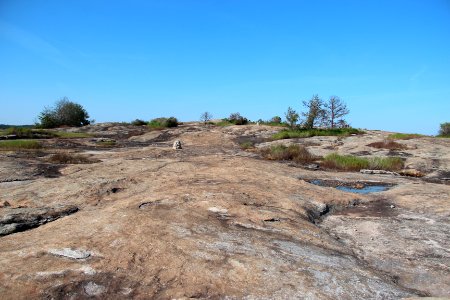 Arabia Mountain trail, Sept 2017