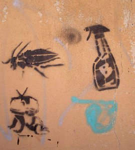 Aranda de Duero - graffiti 05