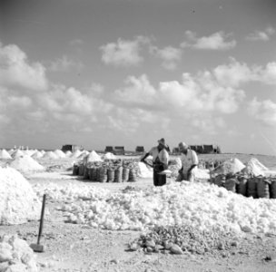 Arbeiders aan het werk in de zoutpannen van Bonaire, Bestanddeelnr 252-8402