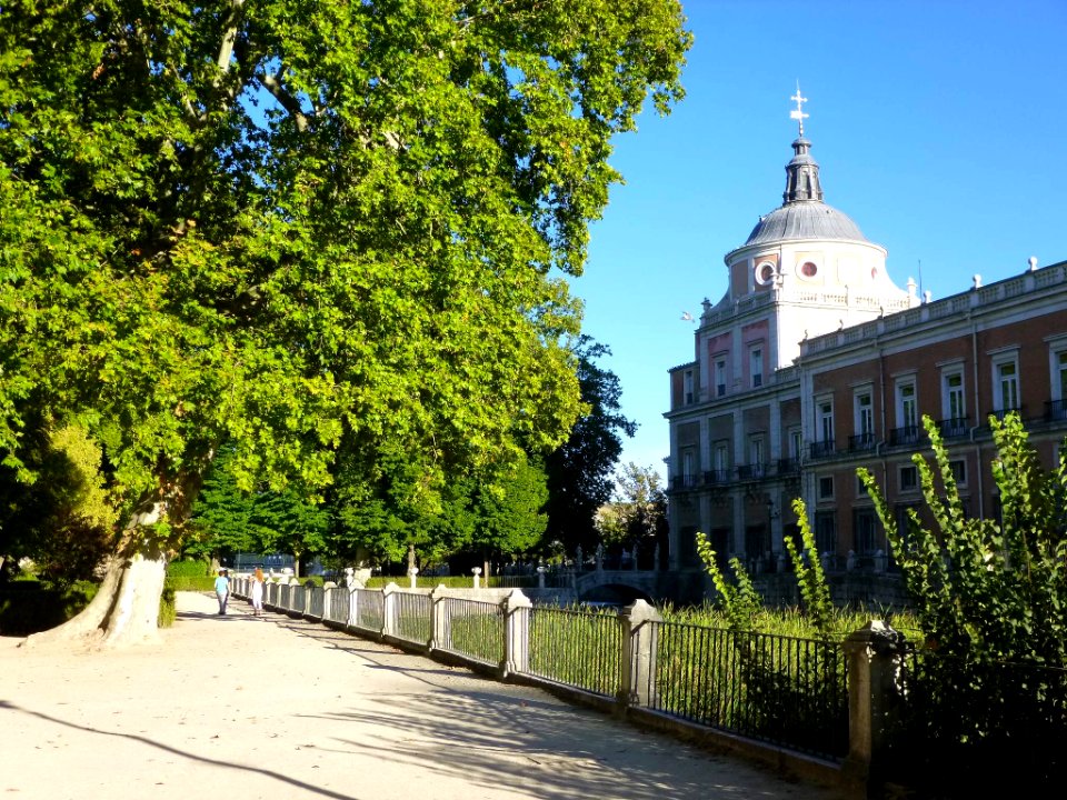 Aranjuez - Real Sitio, Jardín de la Isla 11