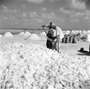 Arbeiders aan het werk in de zoutpannen van Bonaire, Bestanddeelnr 252-8401