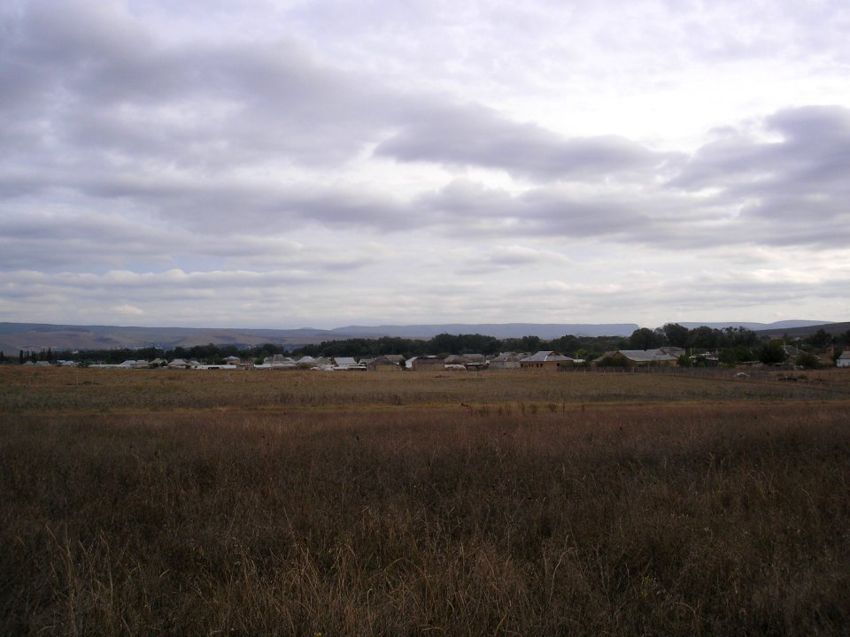 Arankoy 5