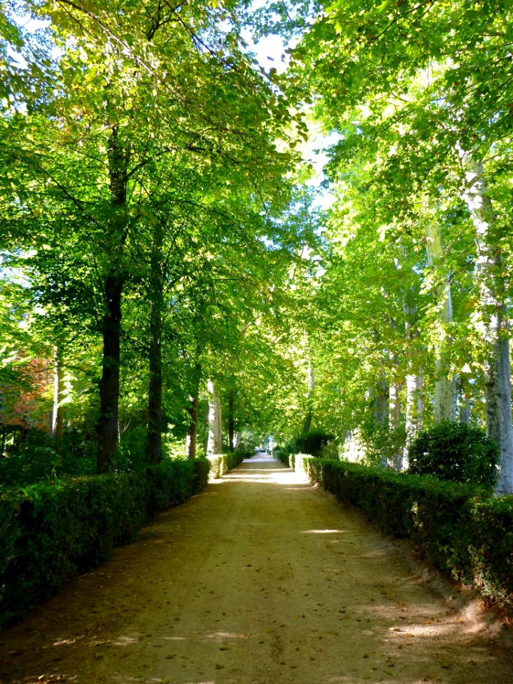 Aranjuez - Real Sitio, Jardín de la Isla 06