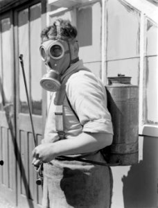 Arbeider in beschermende uitrusting (gasmasker) voor het besproeien van planten…, Bestanddeelnr 190-0674