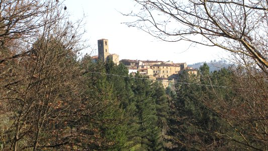 Aramo 01