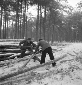 Arbeiders, bosbewerking, sneeuw, gereedschappen, Bestanddeelnr 251-7476