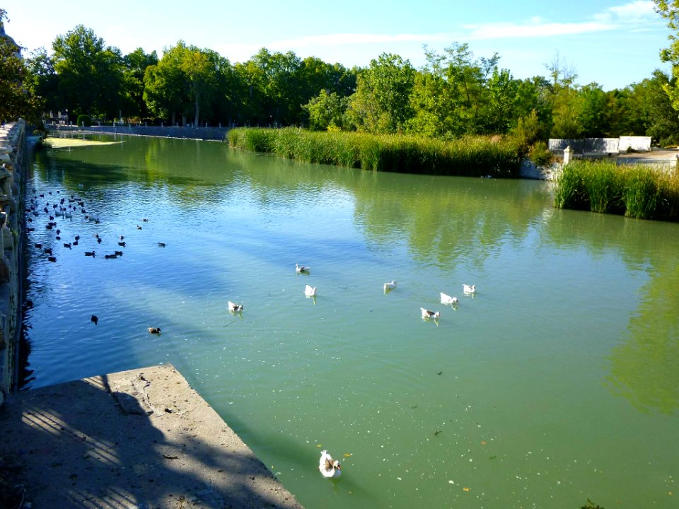 Aranjuez - Real Sitio, río Tajo 01