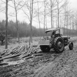 Arbeiders, bossen, werkzaamheden, boomstammen, landbouwmachines, werktuigen, Tra, Bestanddeelnr 253-4993