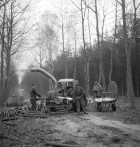 Arbeiders, bossen, werkzaamheden, boomstammen, landbouwmachines, werktuigen, bom, Bestanddeelnr 253-5001