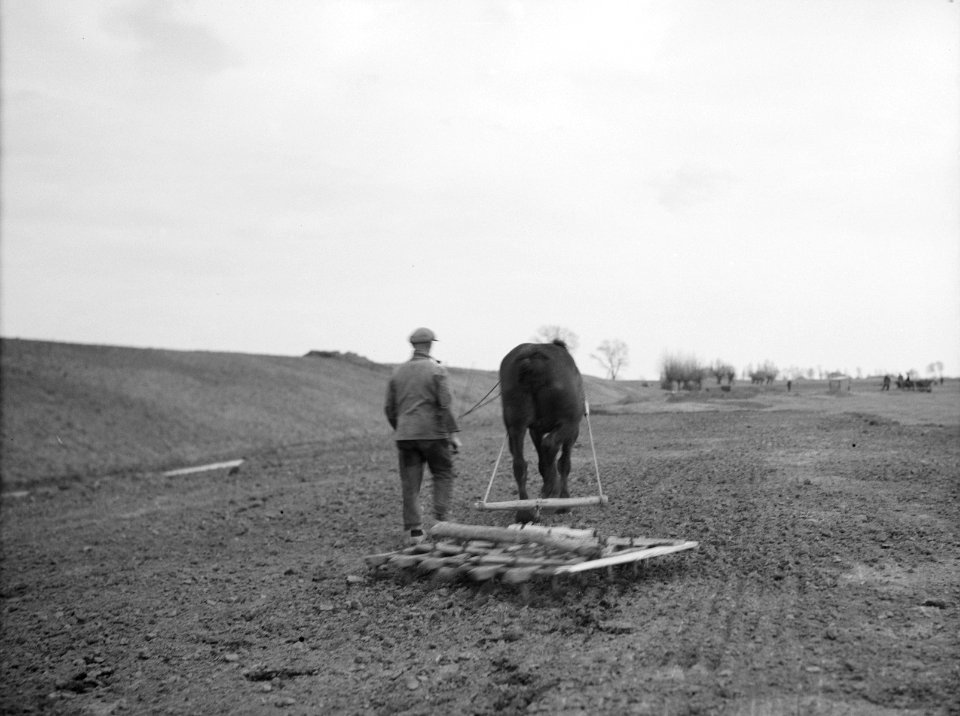 Arbeiders, grondbewerking, werktuigen, dieren, paarden, Bestanddeelnr 253-6703