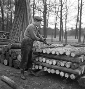 Arbeiders, houtopslagplaatsen, boomstammen, Bestanddeelnr 251-7500