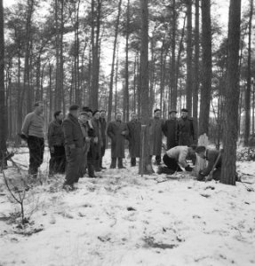 Arbeiders, bosbewerking, sneeuw, gereedschappen, Bestanddeelnr 251-7474