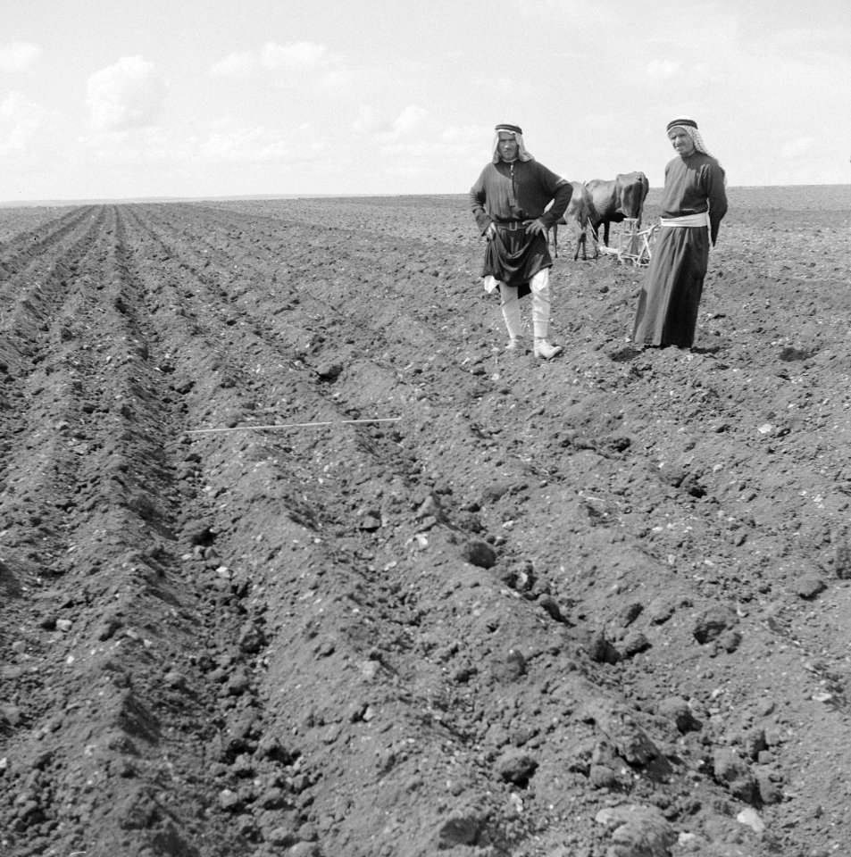 Arbeiders, landbouw, Bestanddeelnr 250-8270