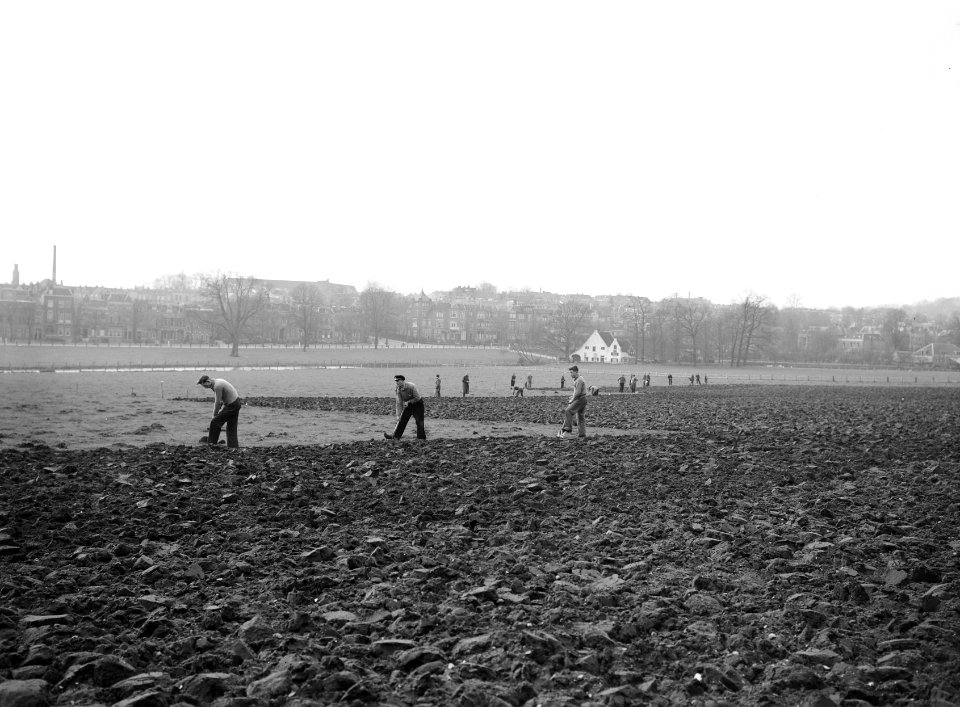 Arbeiders spitten Sonsbeekweide om, Bestanddeelnr 192-0876