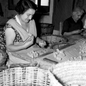 Arbeidsters sorteren ruwe korken, Bestanddeelnr 254-0705