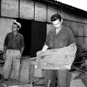 Arbeider onderzoekt de kwaliteit van de kurkschors in de hof van de fabriek, Bestanddeelnr 254-0685