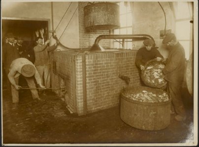 Arbeiders verwerken manden met vis in een fabriek, Bestanddeelnr 158-2278