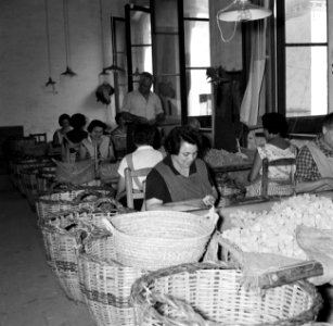 Arbeidsters sorteren ruwe korken, Bestanddeelnr 254-0708