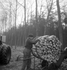 Arbeiders, bossen, werkzaamheden, boomstammen, landbouwmachines, werktuigen, kar, Bestanddeelnr 253-5004