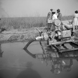 Arbeiders, machines, werktuigen, Bestanddeelnr 250-8474