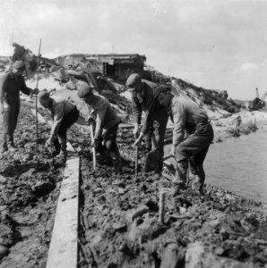 Arbeiders, Bestanddeelnr 900-7526
