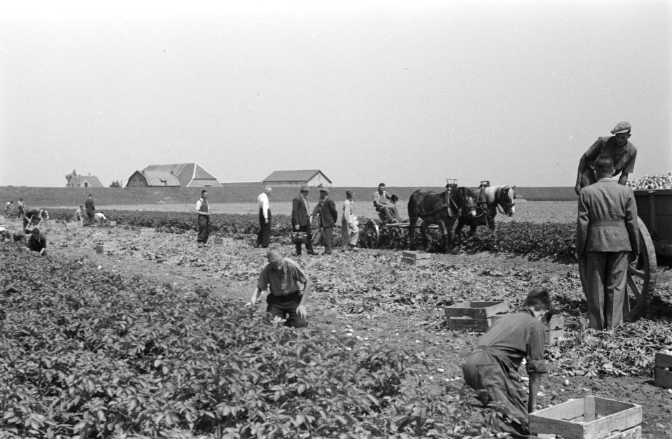 Arbeiders, oogsten, boerderijen, paard en wagen, Bestanddeelnr 170-0178