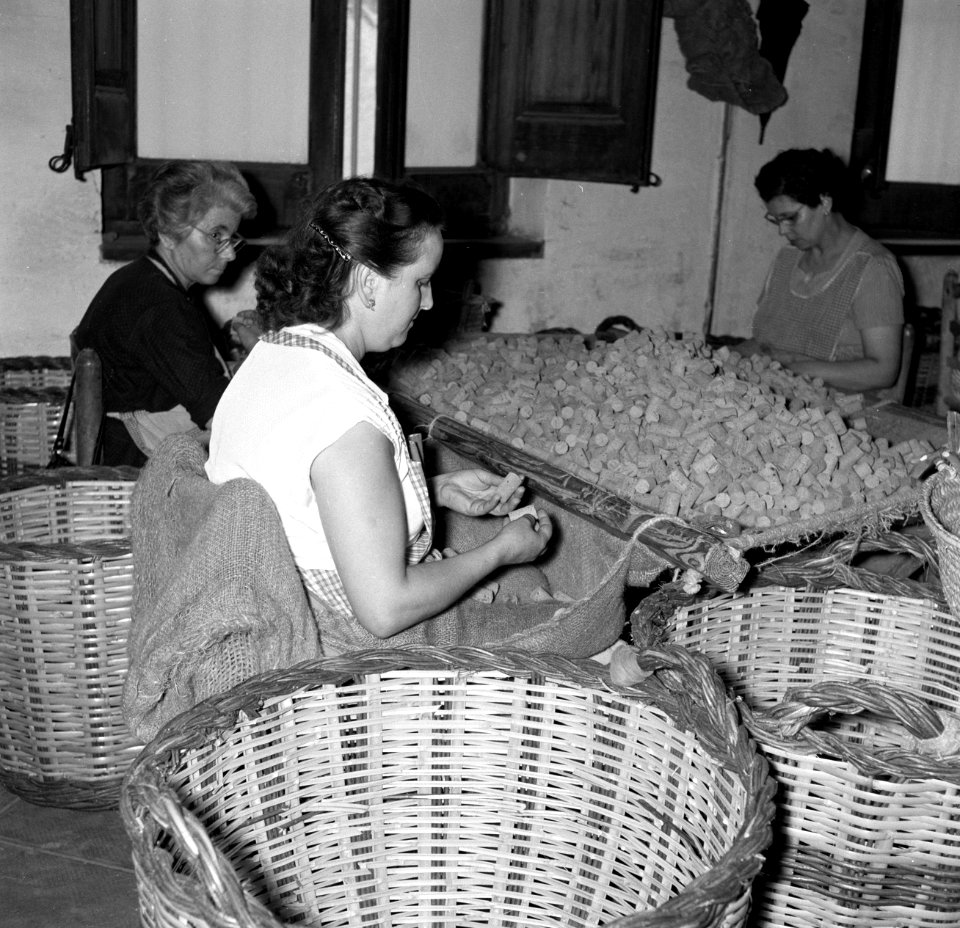 Arbeidsters sorteren ruwe korken, Bestanddeelnr 254-0706
