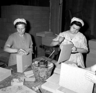 Arbeidsters lijmen houten planken, Bestanddeelnr 254-0728