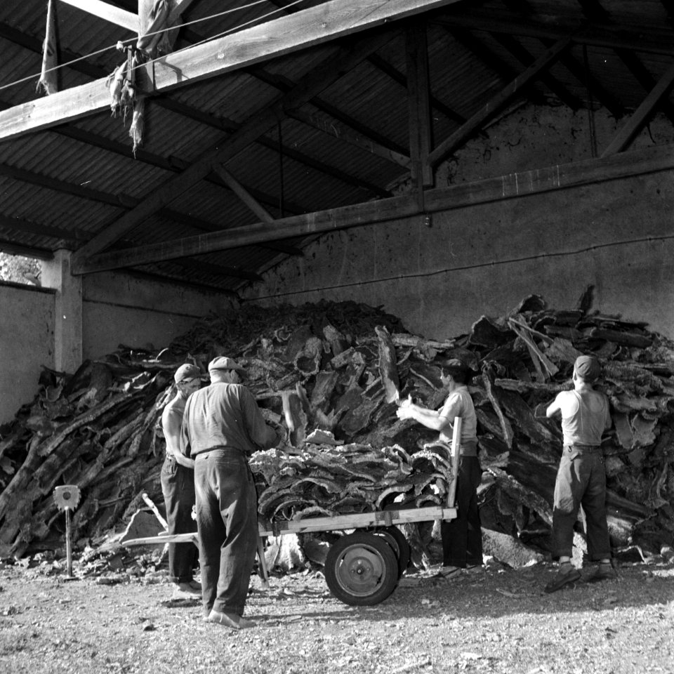 Arbeiders stapelen kurkschors in de hof van de fabriek, Bestanddeelnr 254-0683