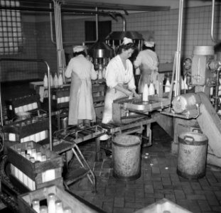 Arbeidsters aan de lopende band waar de melkflessen worden gevuld, Bestanddeelnr 252-9073