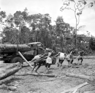 Arbeiders bezig met het slepen van boomstammen in het bos, Bestanddeelnr 252-2553