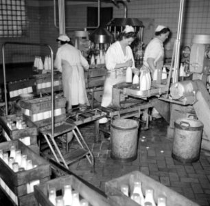 Arbeidsters aan de lopende band waar de melkflessen worden gevuld, Bestanddeelnr 252-9074