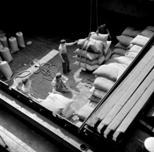 Arbeiders in een scheepsruim in de overslaghaven van Bazel-Kleinhüningen, gezien, Bestanddeelnr 254-1261