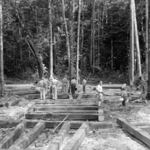 Arbeiders, bomen, palen, Bestanddeelnr 250-8490