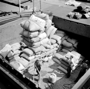 Arbeiders in een scheepsruim in de overslaghaven van Bazel-Kleinhüningen, gezien, Bestanddeelnr 254-1263