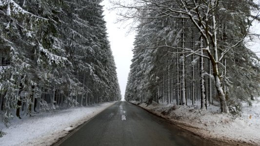 Ardennen-Sneeuwgezicht van maart 2016 (1)