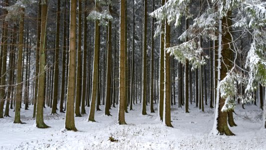 Ardennen-Sneeuwgezicht van maart 2016 (2)