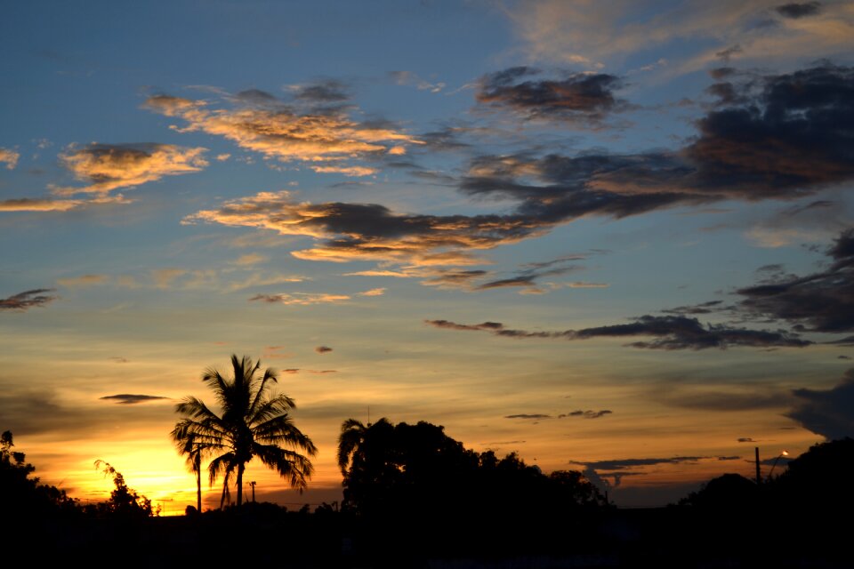 Nature twilight brazil