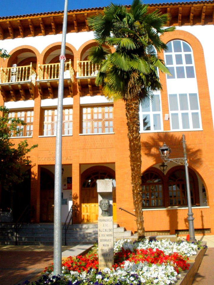 Argamasilla de Calatrava - Ayuntamiento 3
