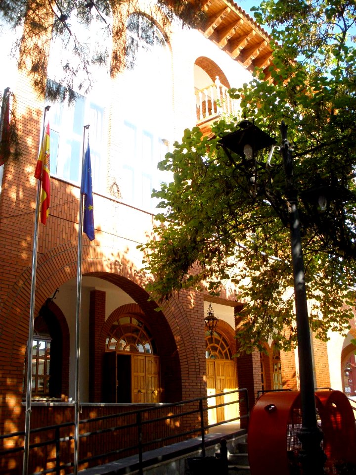 Argamasilla de Calatrava - Ayuntamiento 6