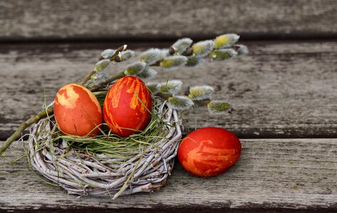 Easter egg happy easter photo