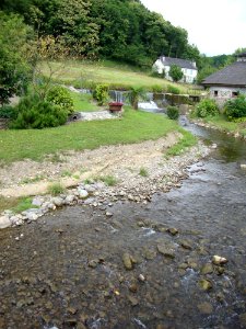 Arette (Pyr-Atl, Fr) le Vert d'Arette, 1