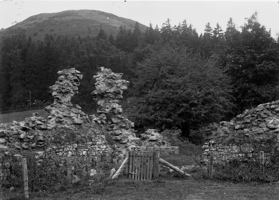 Archaeological ruins at Abbeycwmhir (1294099)