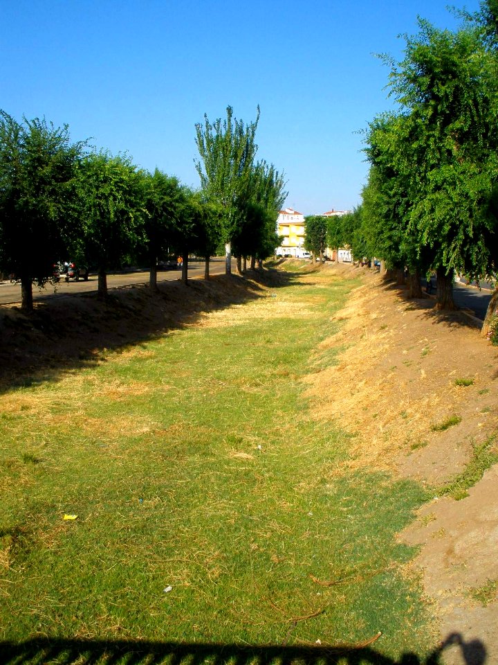 Argamasilla de Calatrava - Cauce seco (estival) del río Tirteafuera 1