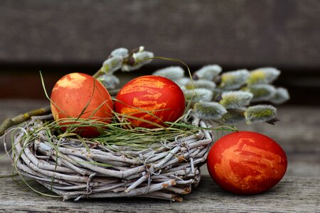 Easter egg happy easter photo